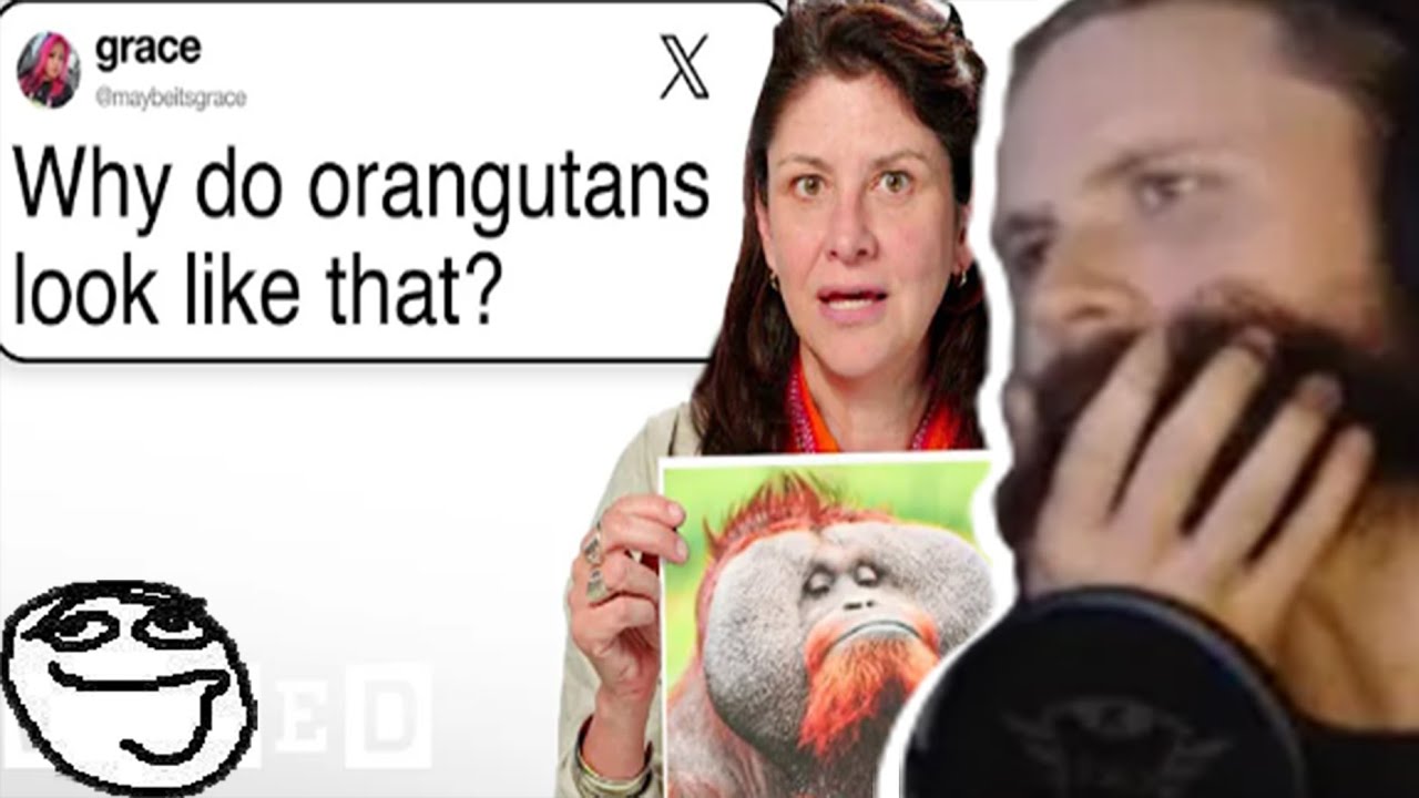 Forsen Reacts - Primatologist Answers Ape Questions From Twitter | Tech Support | WIRED