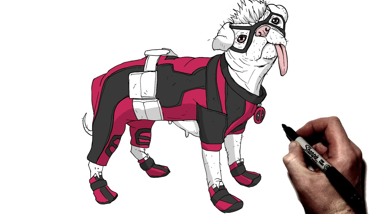 How To Draw Dogpool | Step By Step | Deadpool & Wolverine