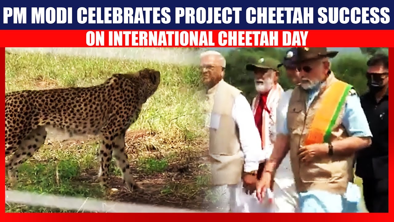 International Cheetah Day 2025 | PM Modi Celebrates Project Cheetah & Wildlife Conservation