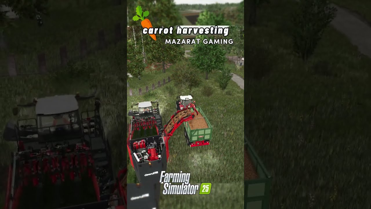 Carrot Harvesting 🥕 Dewulf ZKIVSE | Farming Simulator 25