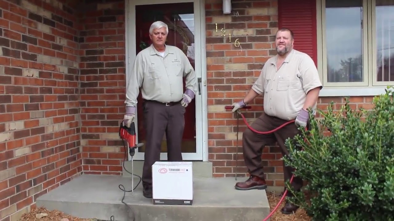 Termites - Boggs Pest Control