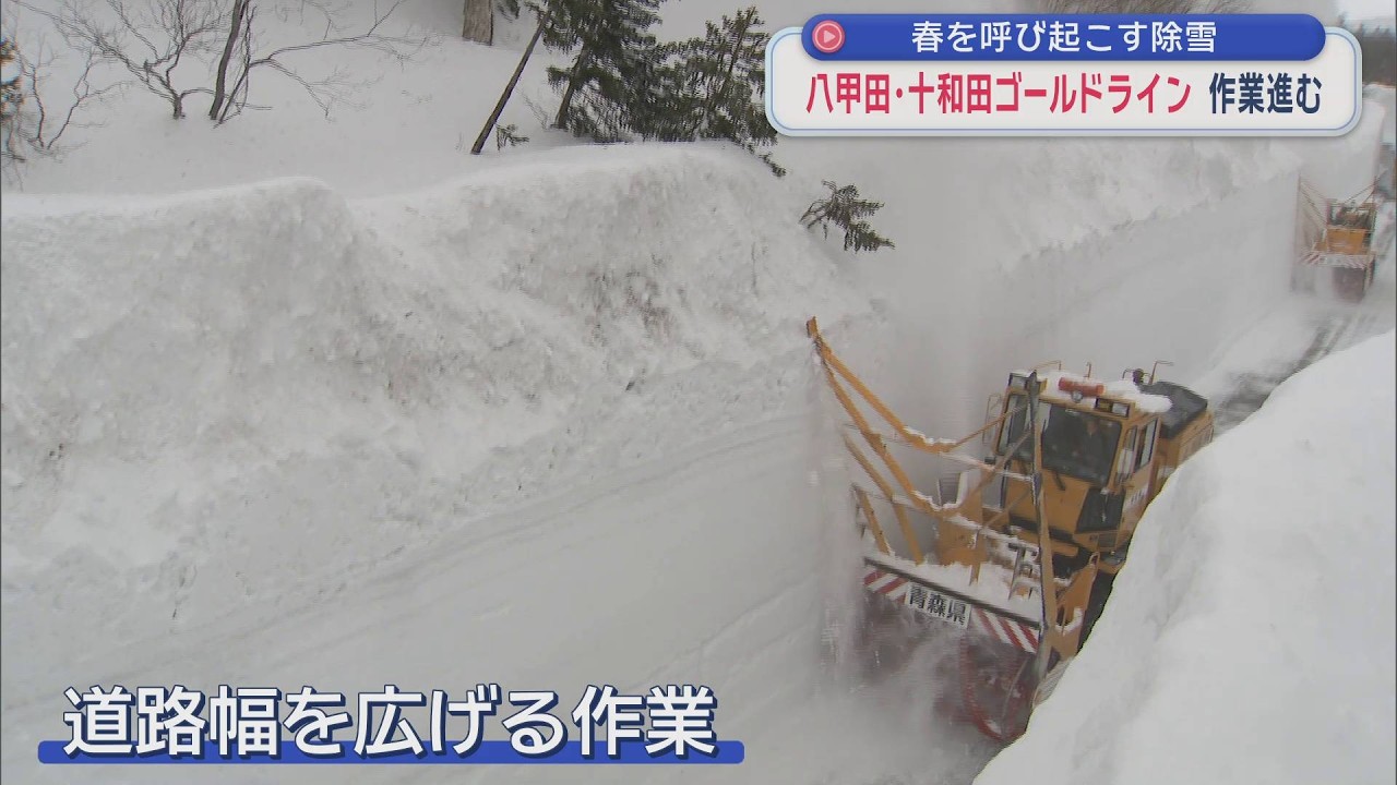春を呼び起こす除雪　八甲田・十和田ゴールドライン　作業進む（2026年3月13日放送）