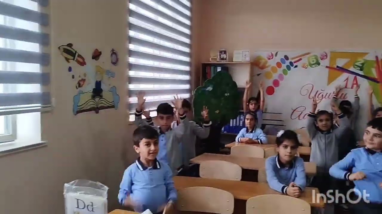 Əyləncəli diqqət oyun