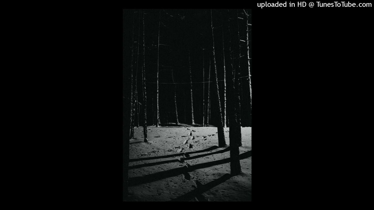 (free) nine vicious x apollored1 type beat 