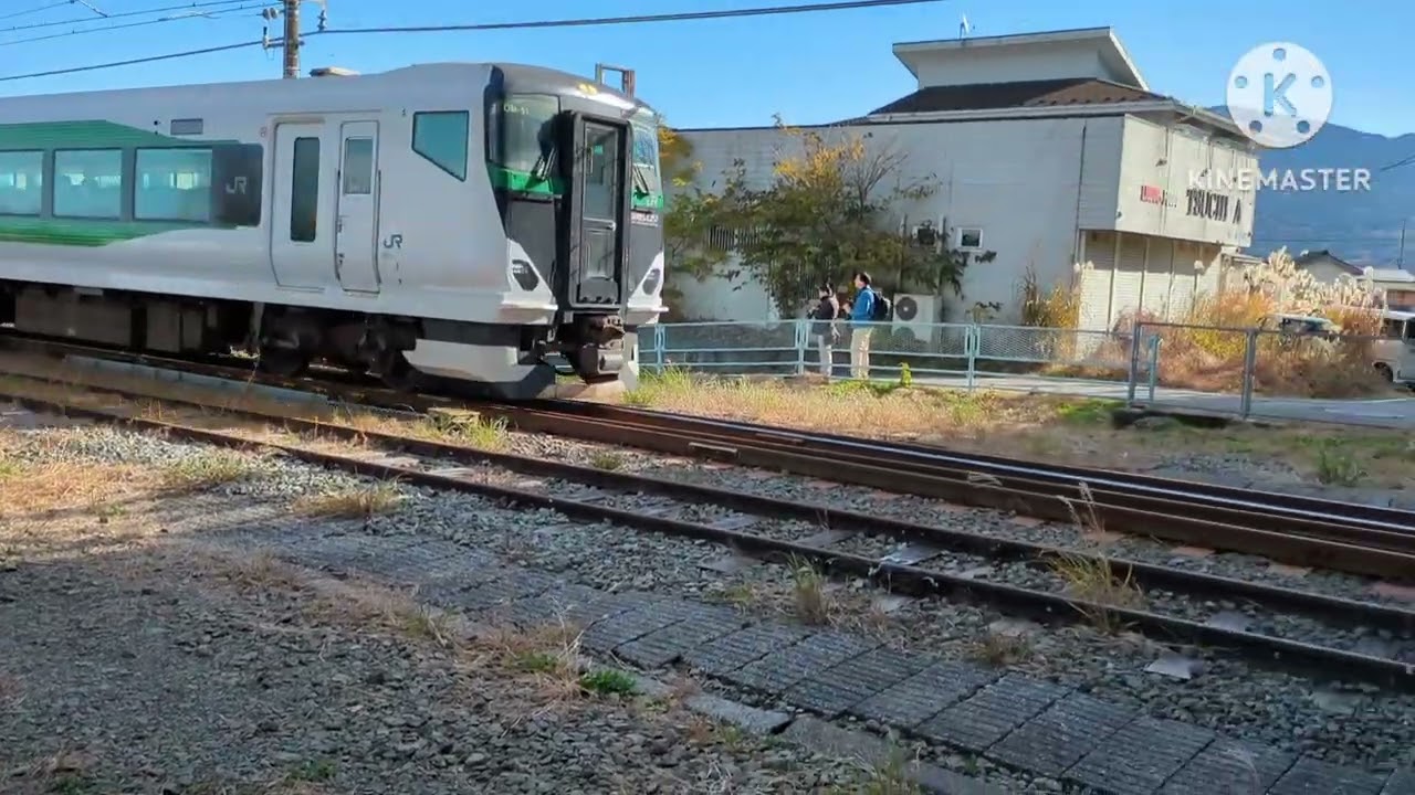 e257系5500番台om-51編成団臨御殿場線90周年