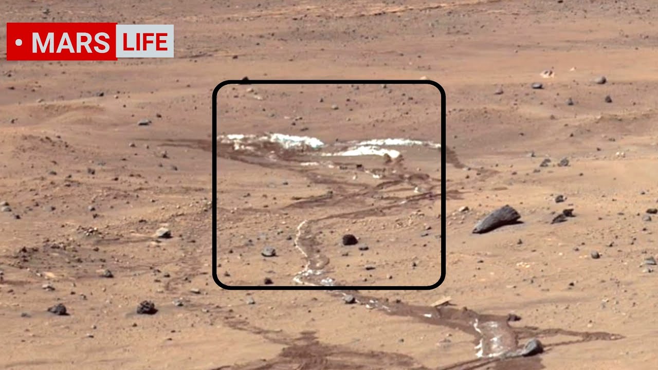 NASA Mars Rover Sent Super Incredible Footage of Mars! Perseverance and Curiosity' Rover Mars in 4K