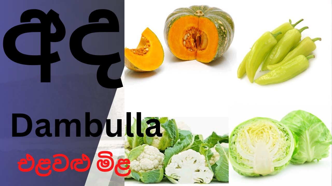 Tiday dambulla market vegitable price #vegetables #election #malumiris #price #mila #naimiris
