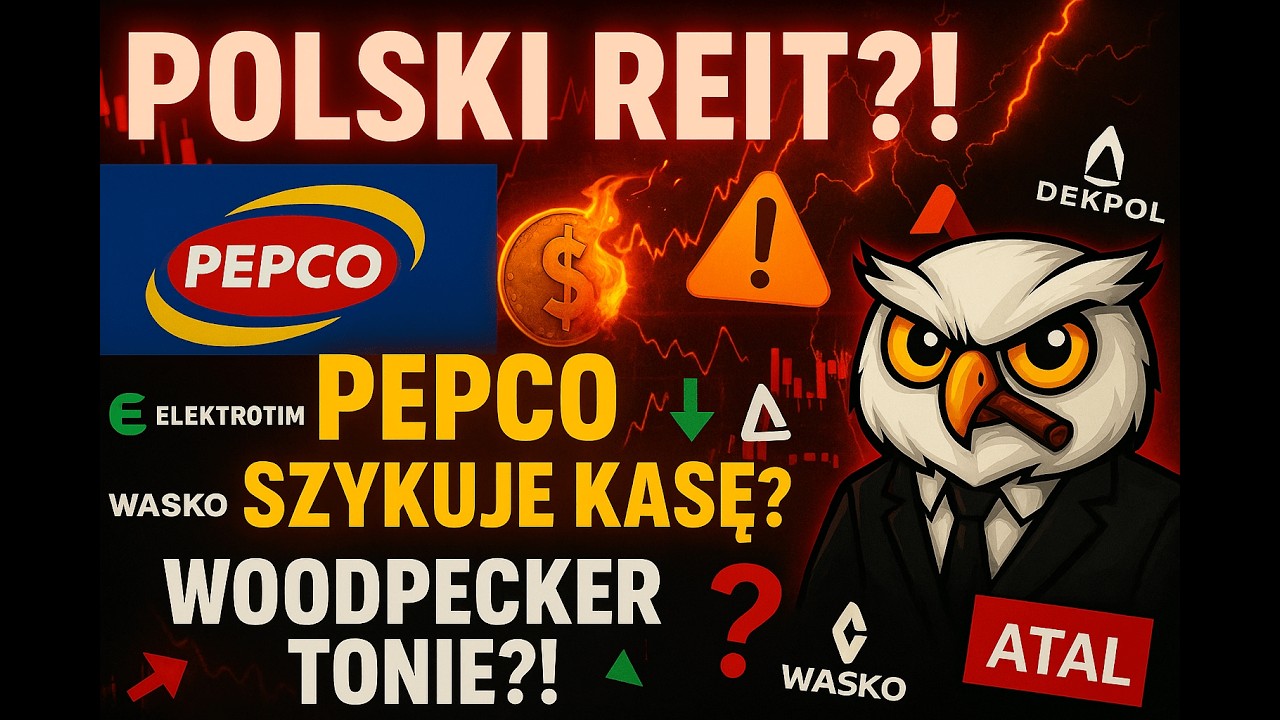Atal czeka na boom, Pepco sypie kasą, Woodpecker tonie, a tu&hellip; POLSKI REIT?! To się dzieje!