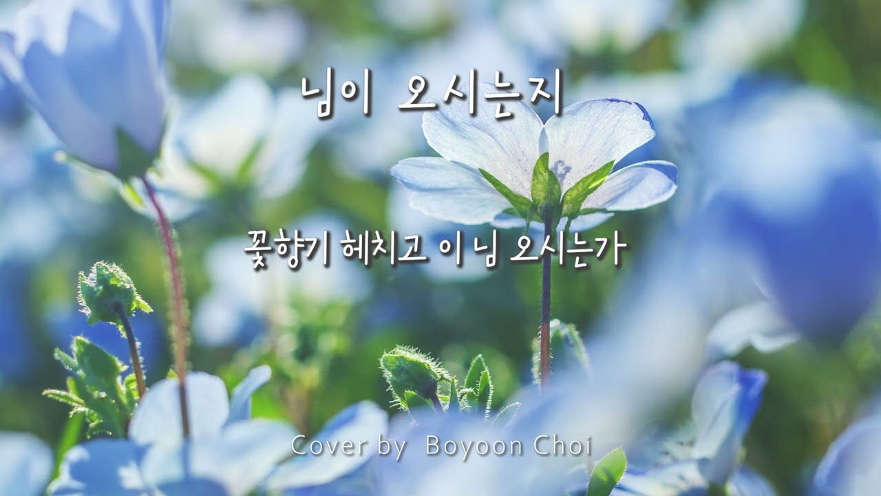 최보윤 가곡 