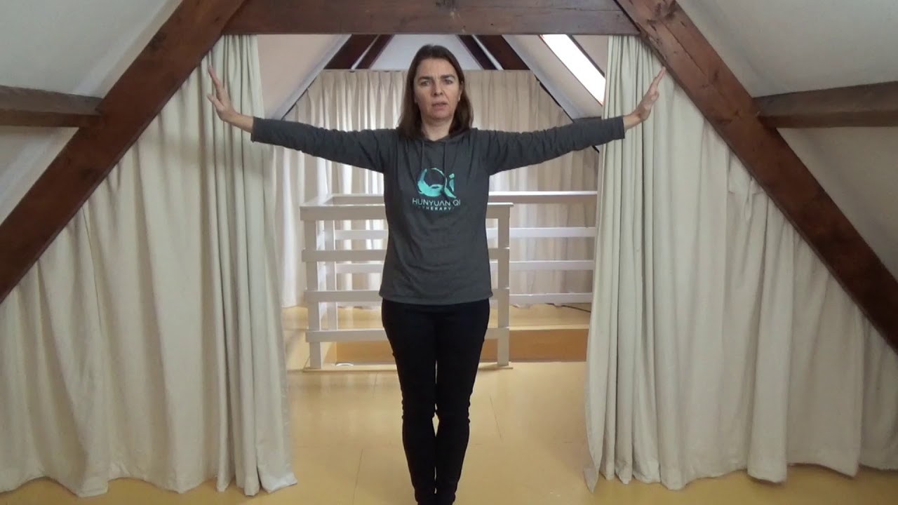 Zhineng Qigong Basis 3: Lift Qi Up Pour Qi Down oefenvideo