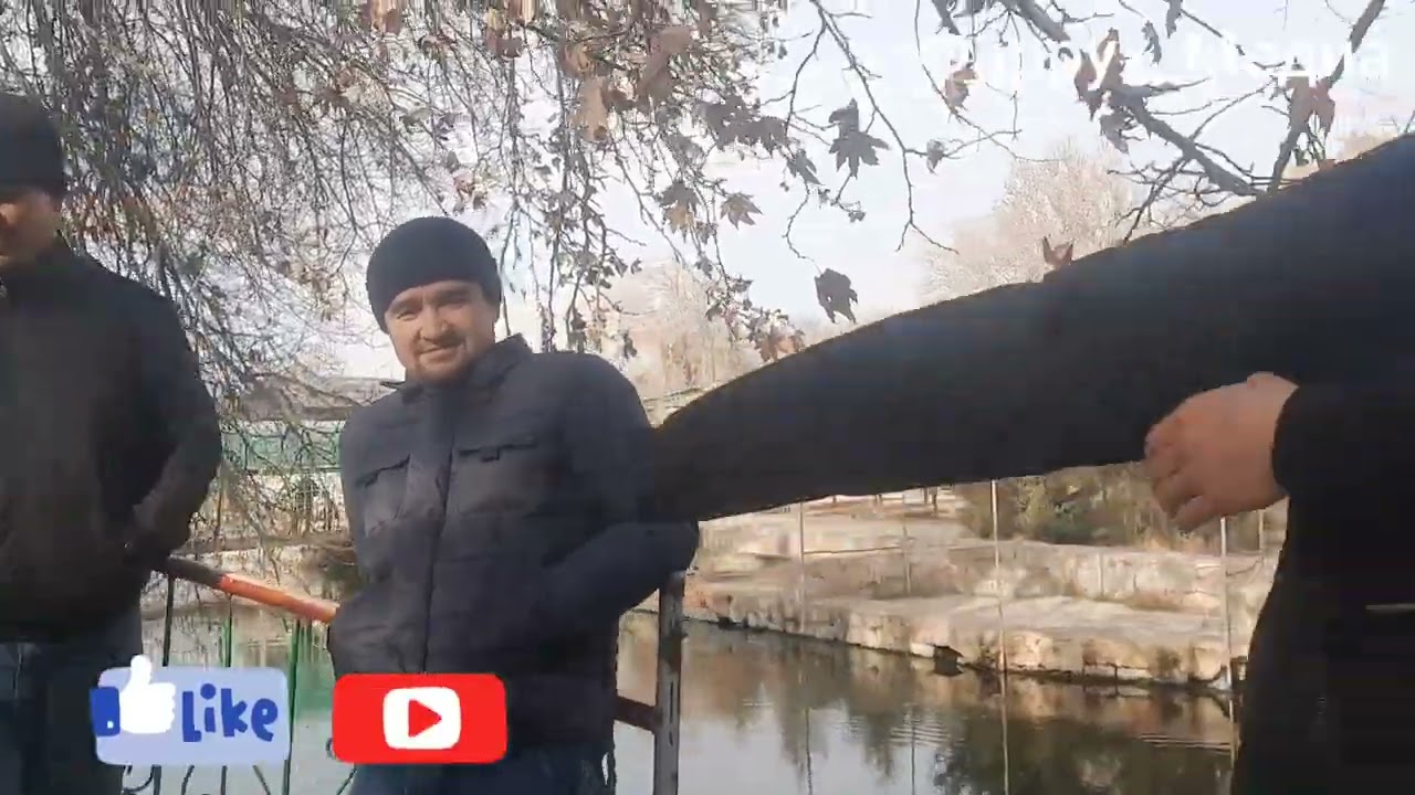 Туй Чинор 2001 Йилар Оператор Фаррух_Медиа @FarruxMedia 02.01.2024