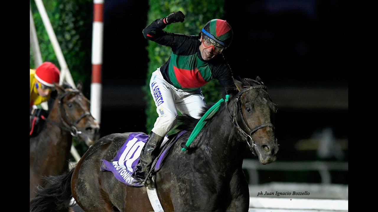 Gran Premio Rep&uacute;blica Argentina (G1) 2025 - Need You Tonight (Hat Ninja)