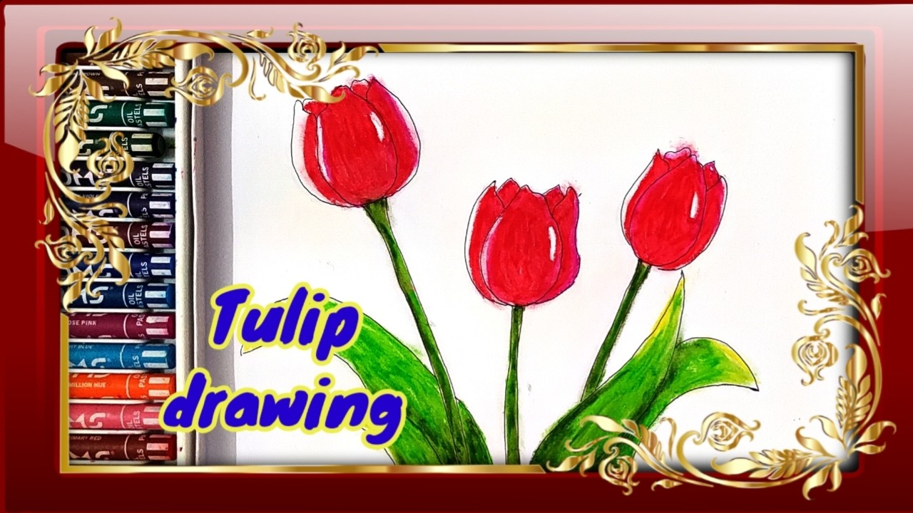 How to draw Tulip flower drawing |Flower Drawing Realistic| Art gallery 14||