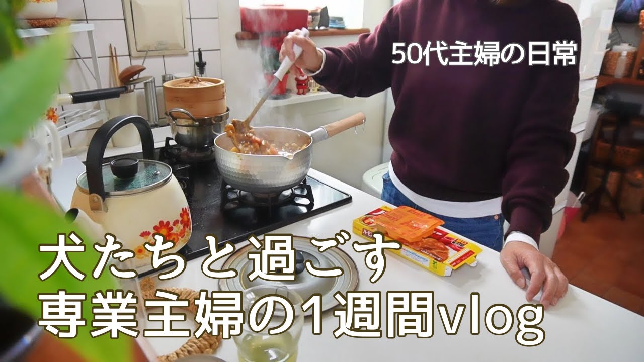 50代主婦の日常 / 犬たちと過ごす5日間vlog / 家族との時間 / トリミング / 母の病院の付き添い