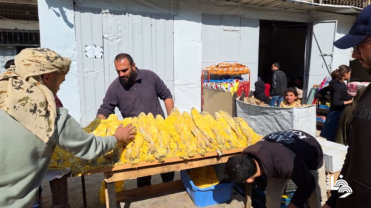 النازح هندي الهندي يعود لمهنة تمليح الأسماك في خيمته بخان يونس جنوب قطاع غزة مع اقتراب عيد الفطر