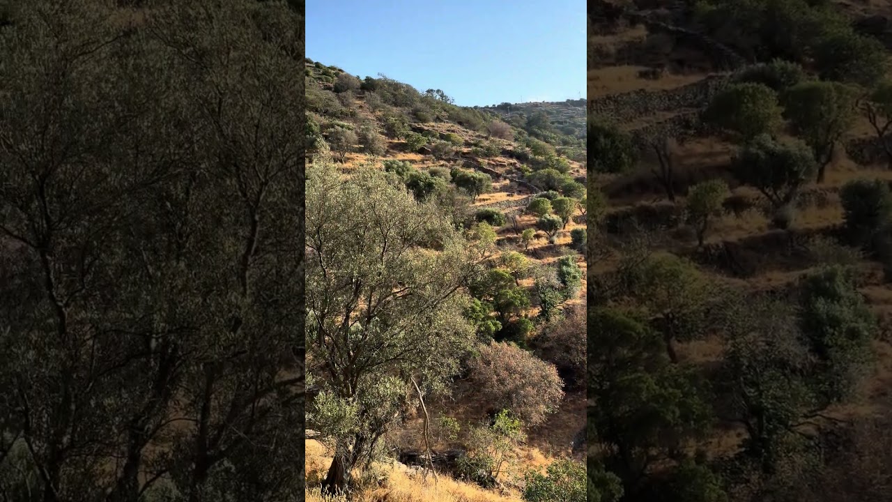 Leon Of Kea , Greece 🇬🇷 Island 🏝️ 