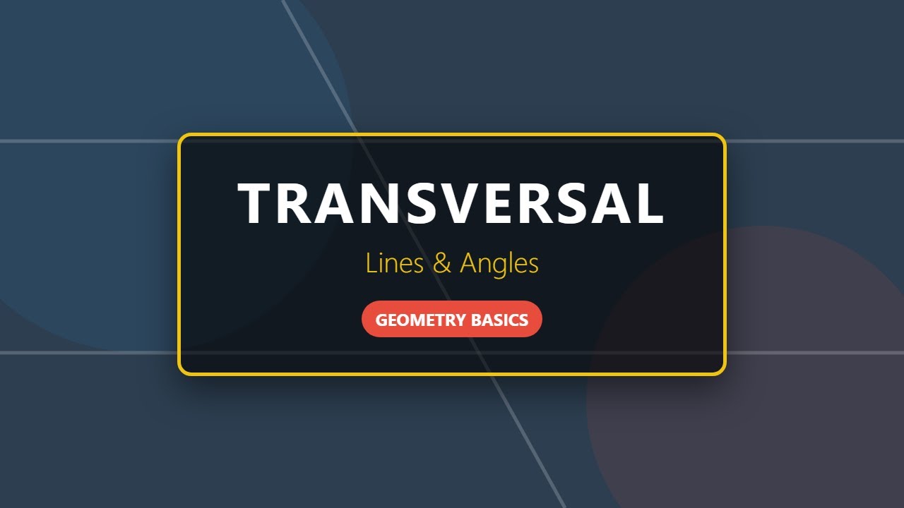 Transversal Lines and Angles: Geometry Basics Explained
