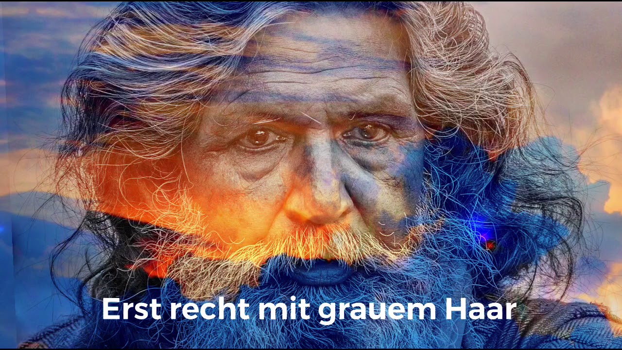 Ein graues Haar - PUR