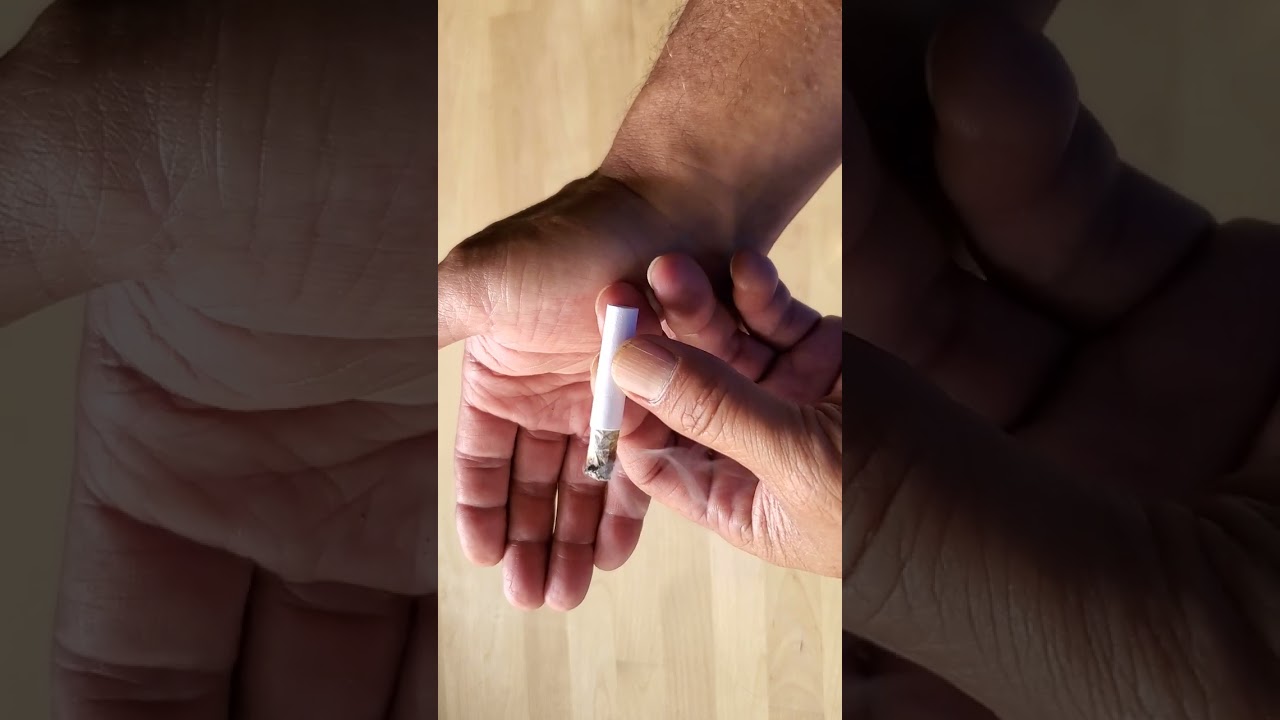 SOUR OG KUSH Cannibus review 2024