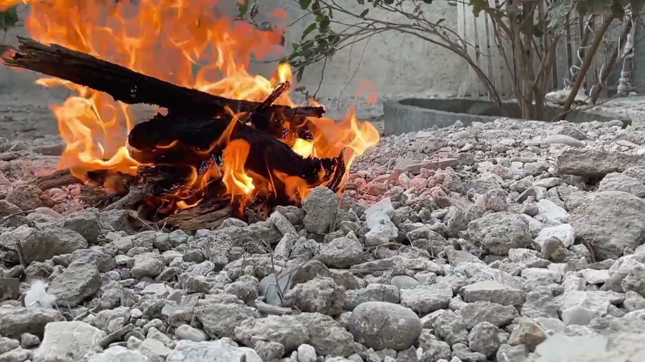 Coal Tea in the Yard with Chickens 🔥☕🐔