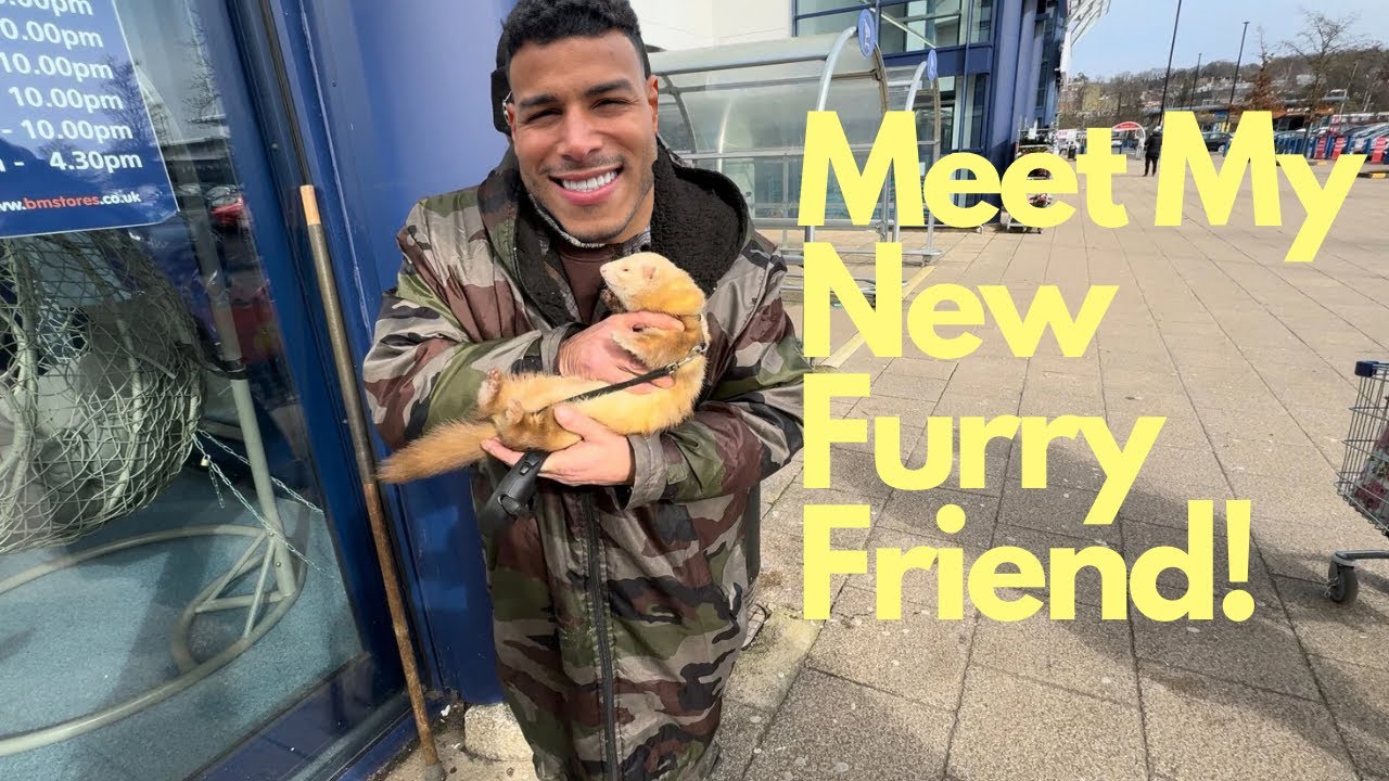 Meet My New Furry Friend!