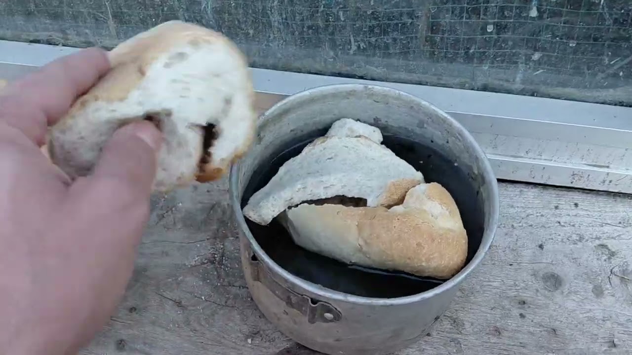 Tavukları emanet verdim sezon bitti