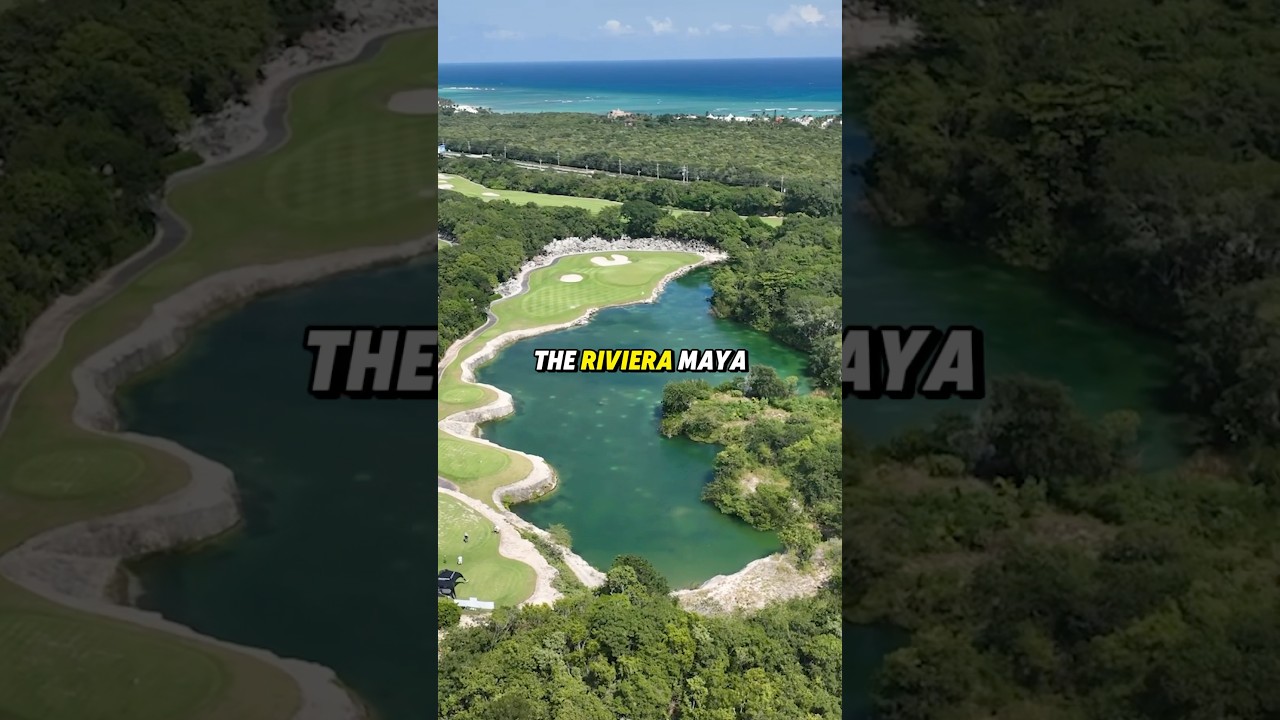 One of the best golf courses in Mexico! #golf #golfing #shorts
