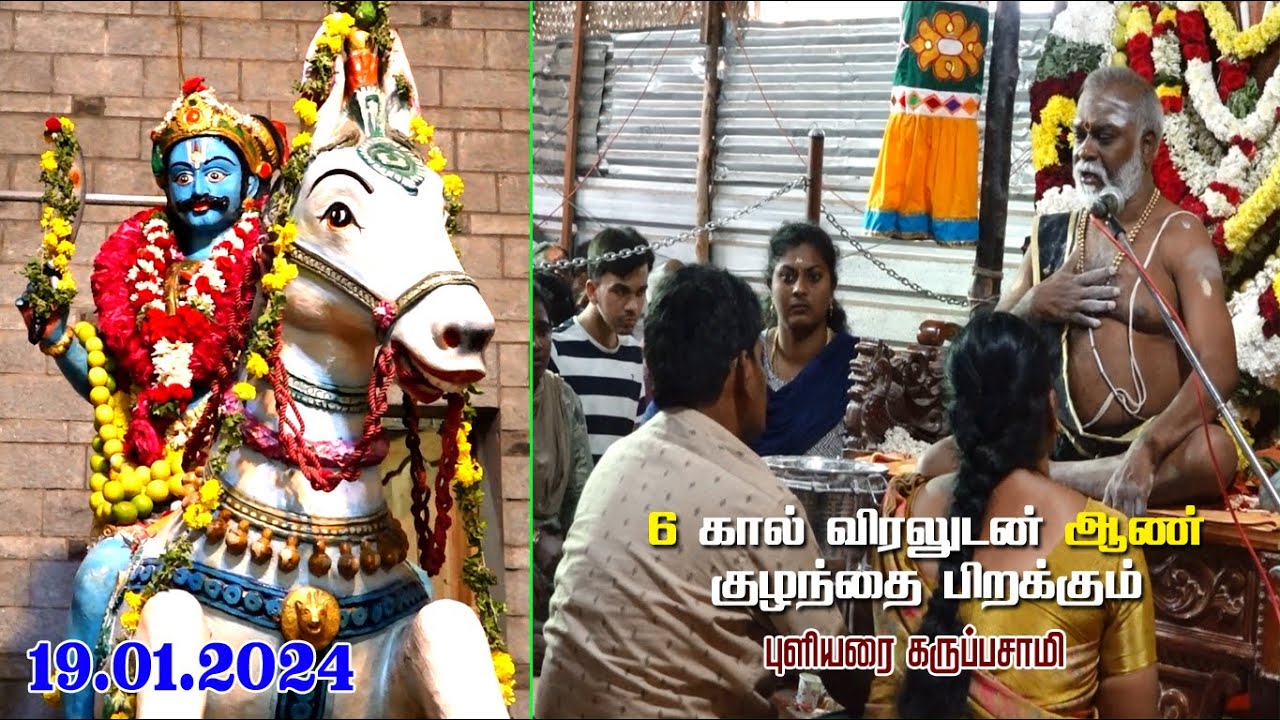 6 கால் விரலுடன் உன்னக்கு ஆண் குழந்தை பிறக்கும். புளியரை கருப்பசாமி அருள்வாக்கு |MAYURIBAKTHI