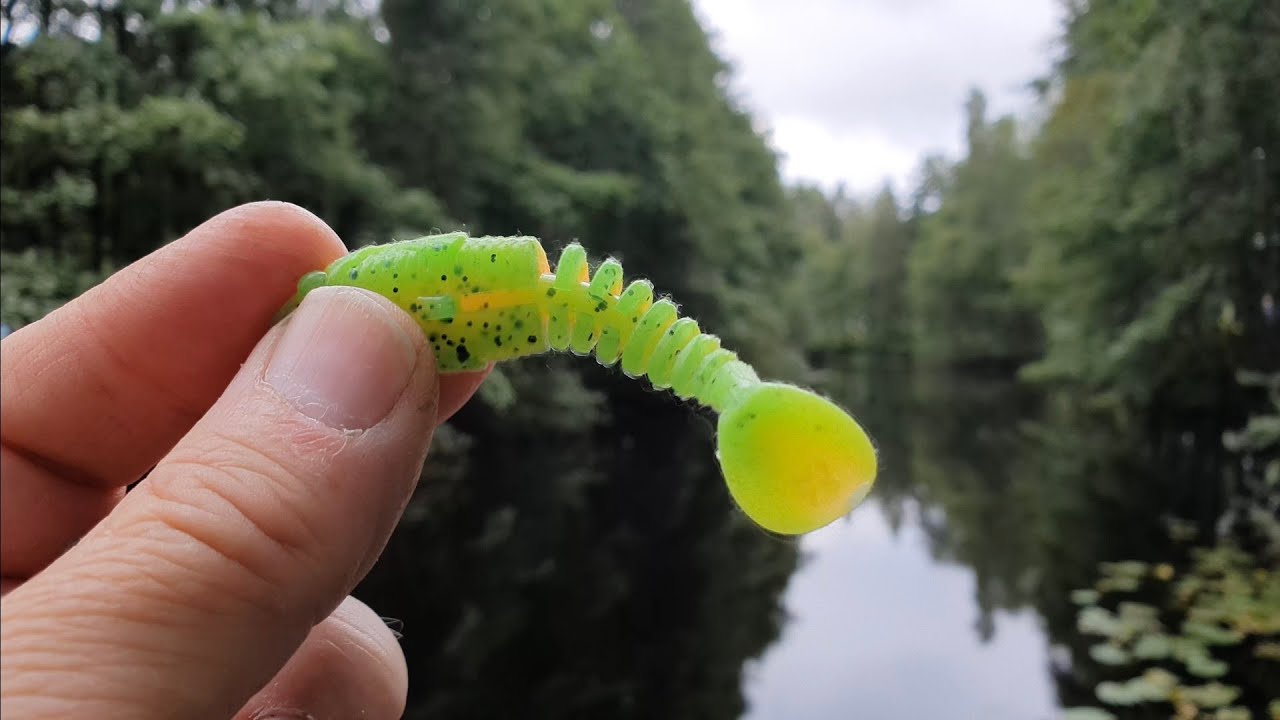 Viskan - Borås - Dropshot ultralångsamt fiske