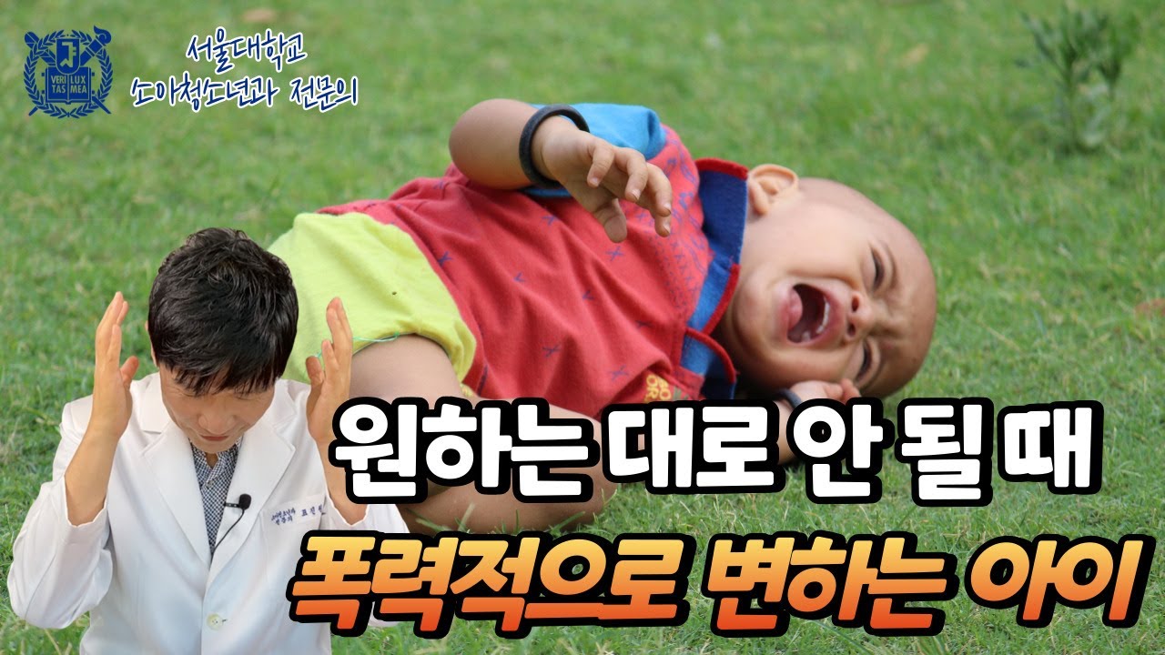 [12개월~24개월] 원하는 대로 안 될 때, 울고불고 머리를 박고 꼬집고 물고 때리고 숨을 참는 분노발작 아이 훈육법과 예방법
