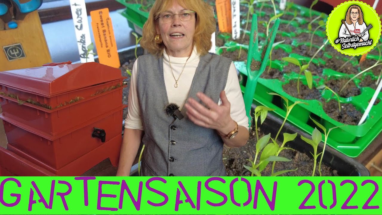 Ende Januar - Paprika pikieren - Licht - Mehr zur Wurmkiste