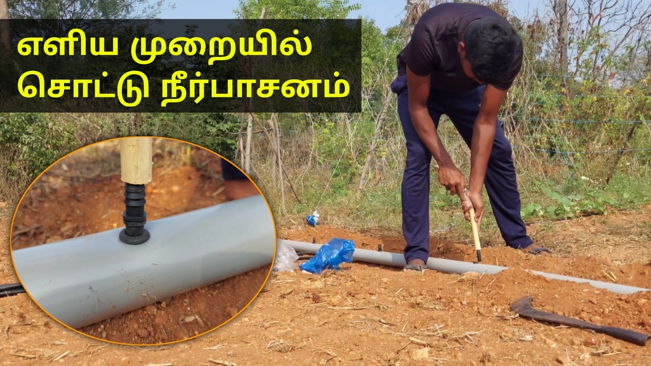Drip Irrigation Installation Made EASY!