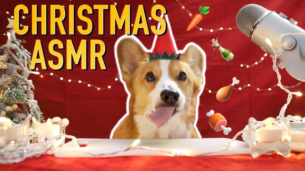 CHRISTMAS FOOD ASMR - Topi the Corgi