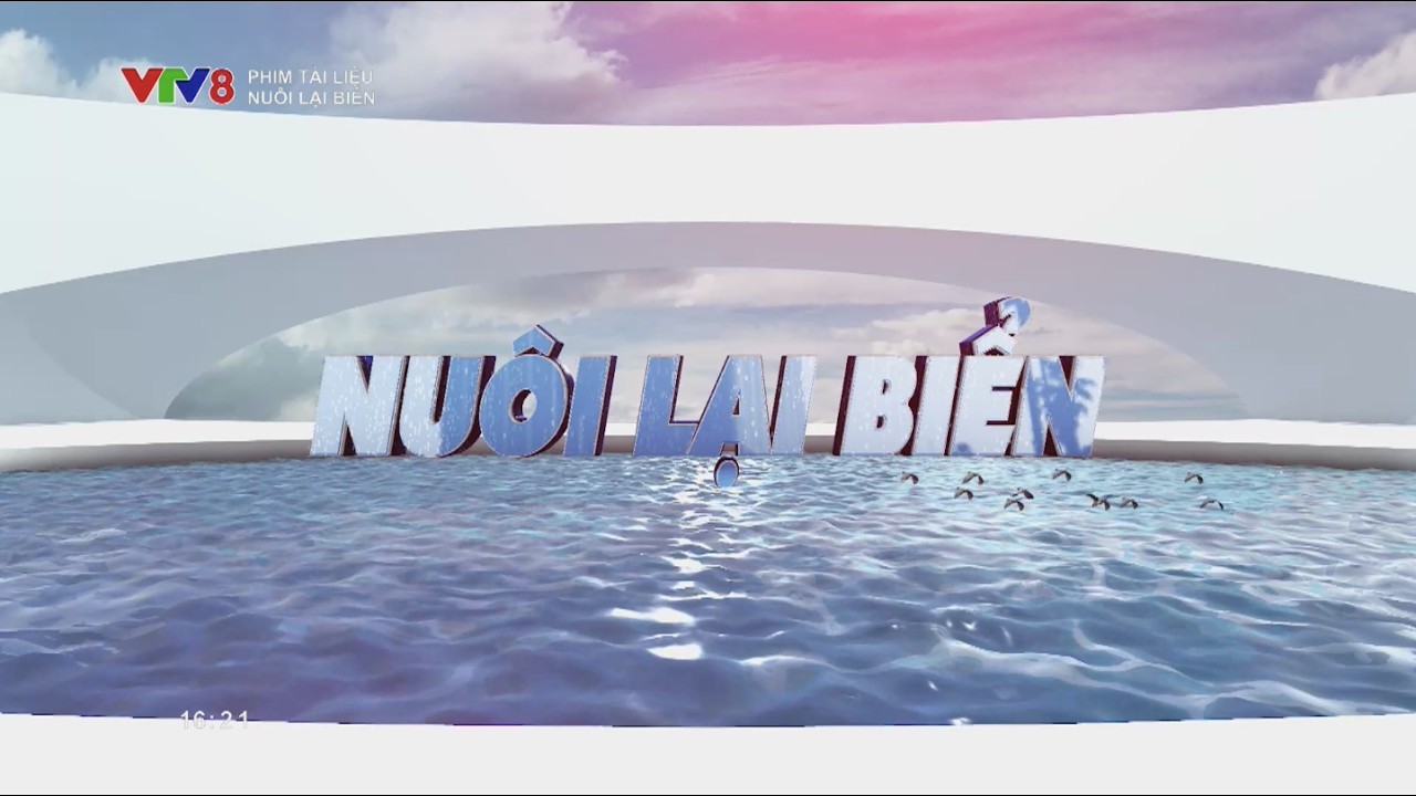 Phim tài liệu: Nuôi lại biển #vtv8 #lichsu #biendao