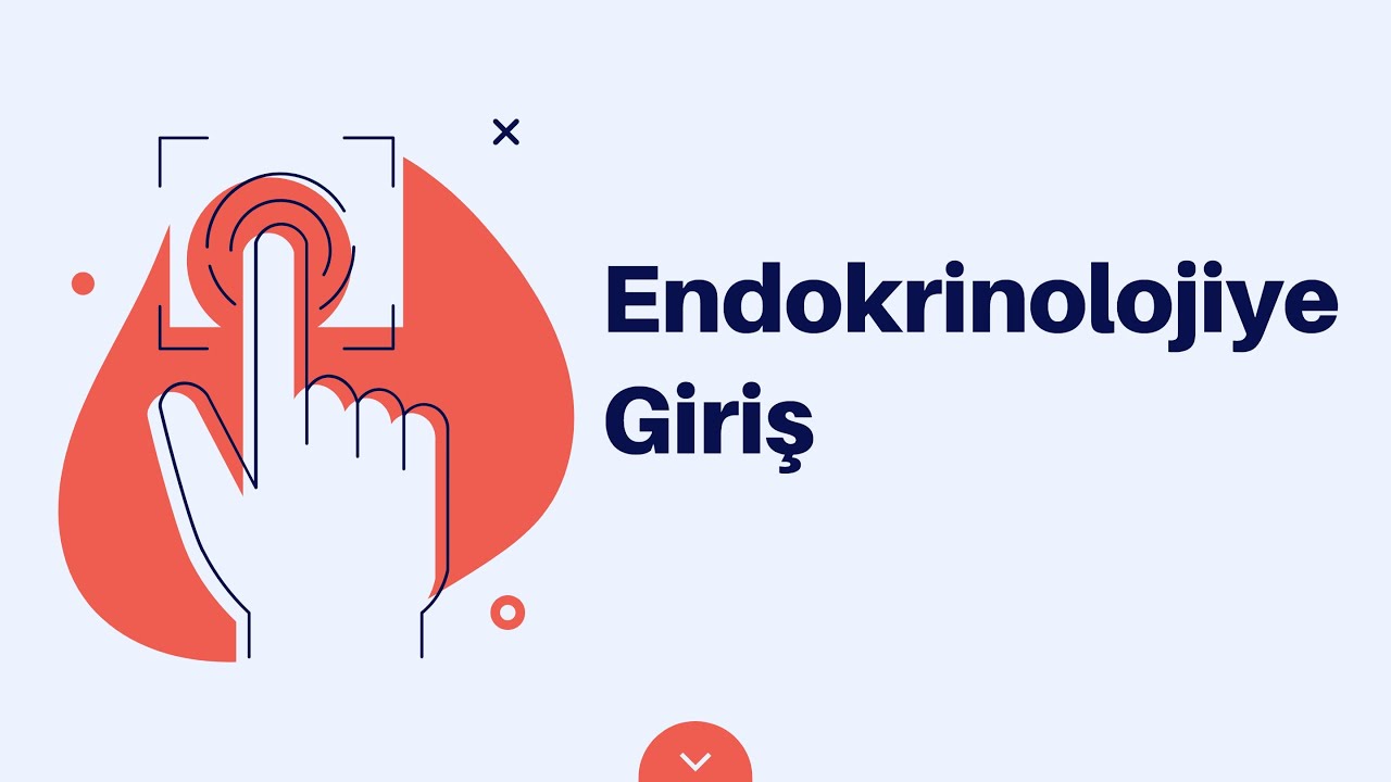 Endokrinolojiye Giriş ( Örnek Video 5)