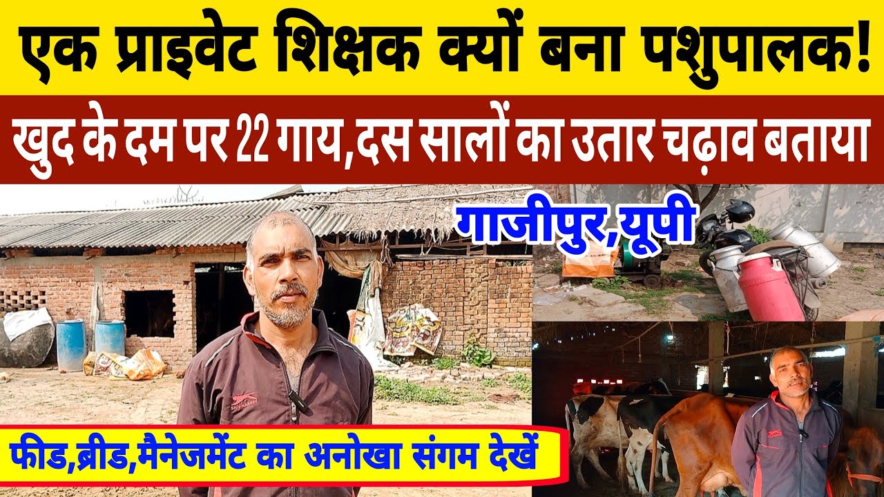 10 सालों से खुद के दम पर 22 गायों का गांव में डेयरी || dairy farm gazipur up/safal pashupalak up ||