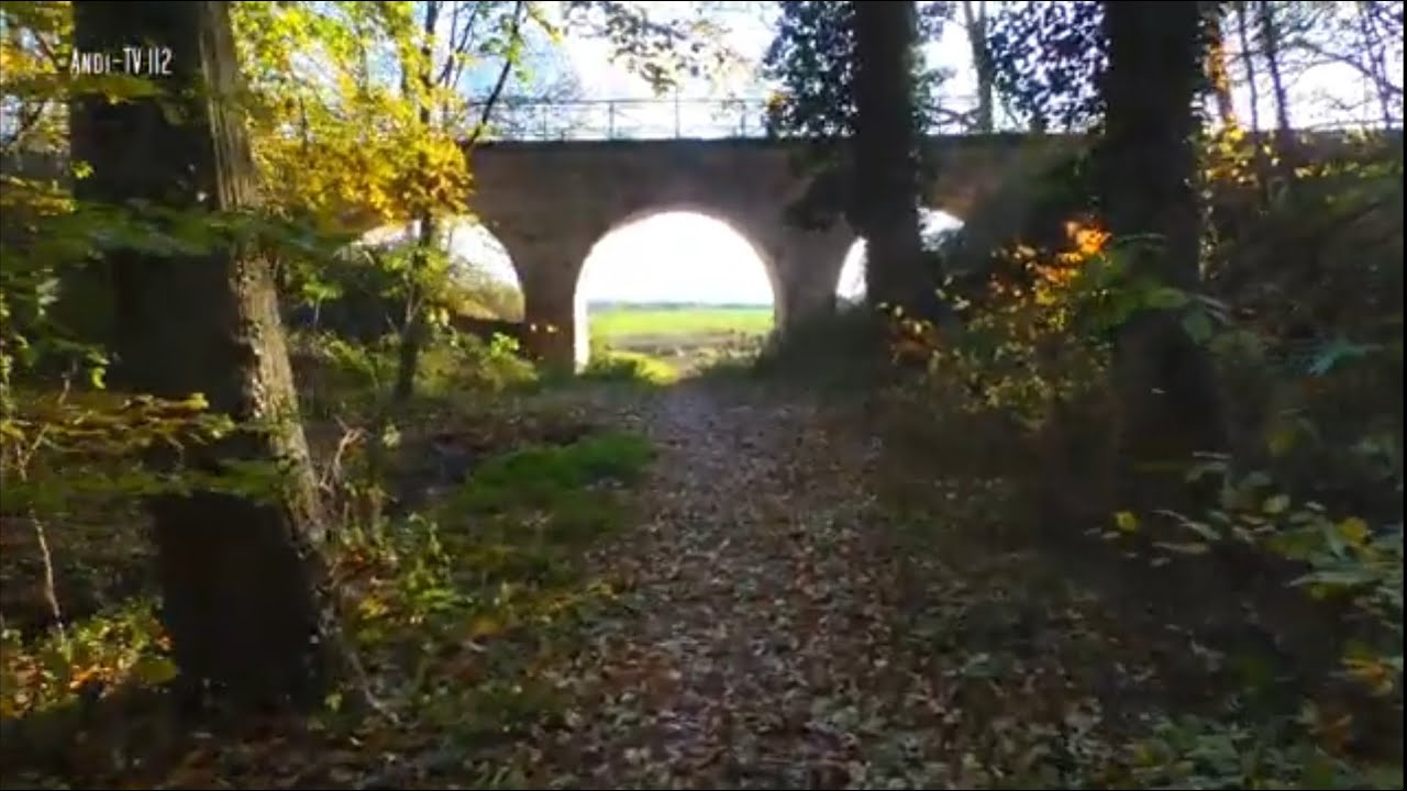 Wanderung Hubertusquelle - Oyle - Wesermarsch - Binner Schlucht - Liebenau (Andi-TV 112)