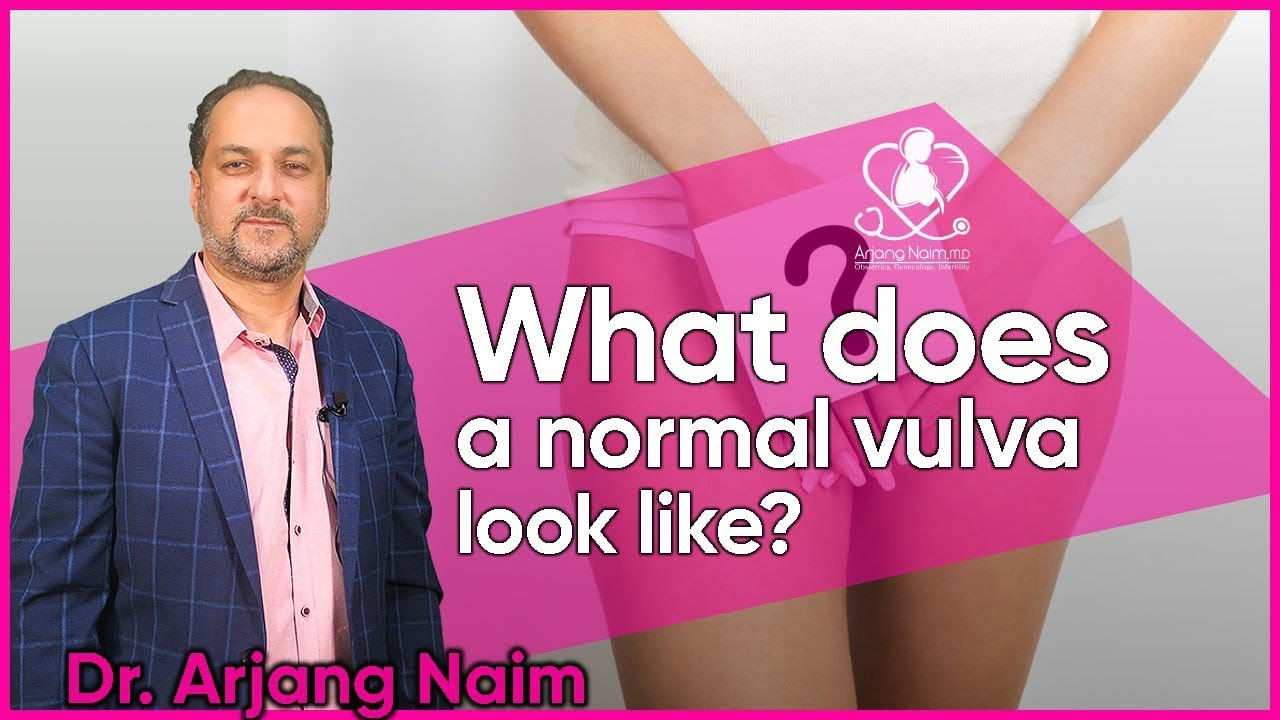 What does a normal vulva look like?