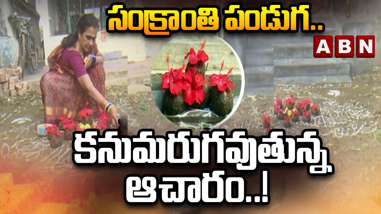 SPOTLIGHT: Sankranti Festival.. A disappearing custom..! | Significance of Sankranti Festival | ABN
