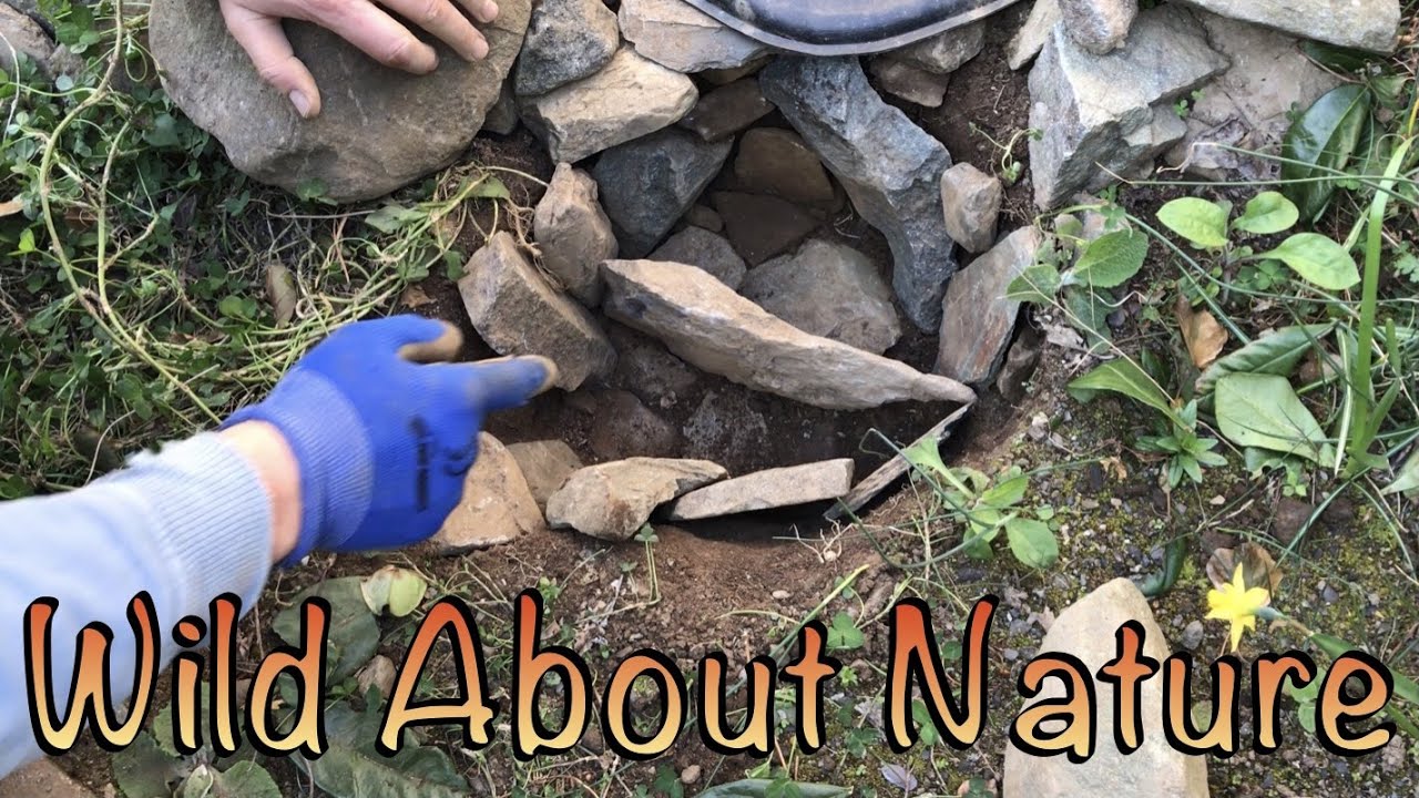 How To Make A Bumblebee Nest In Your Garden For Free