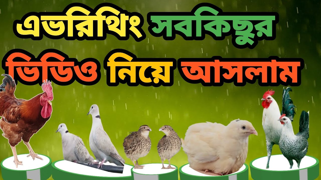 এভরিথিং সবকিছু ভিডিও নিয়ে চলে আসলাম 