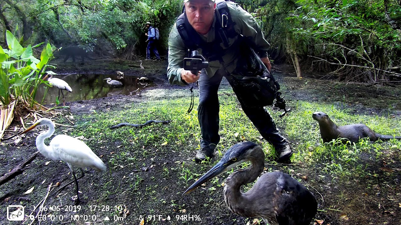 Owlzer 4G Cellular Trail Camera Pickup