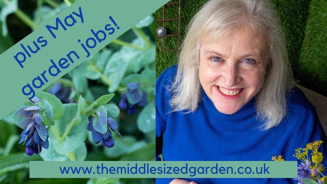 May garden tour - plus some garden jobs for May!