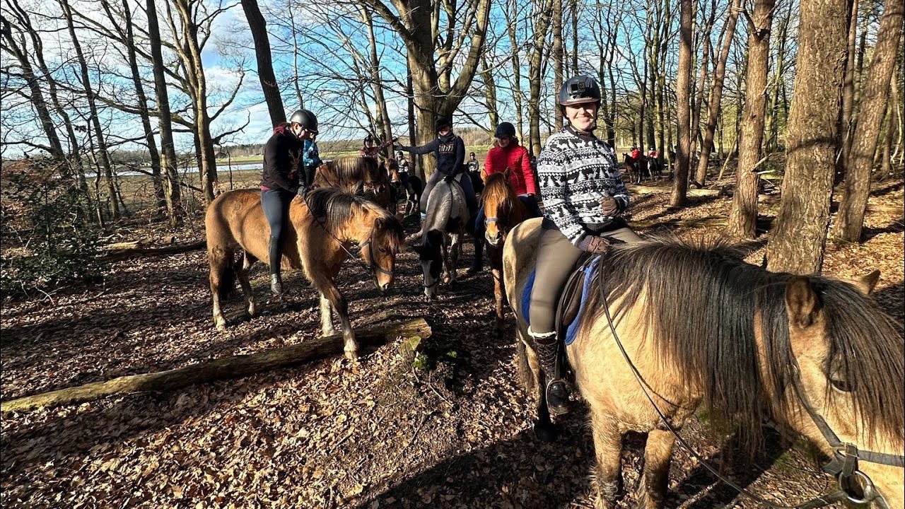Rc Het Fjordenpaard Voorjaarsweekendje 2025
