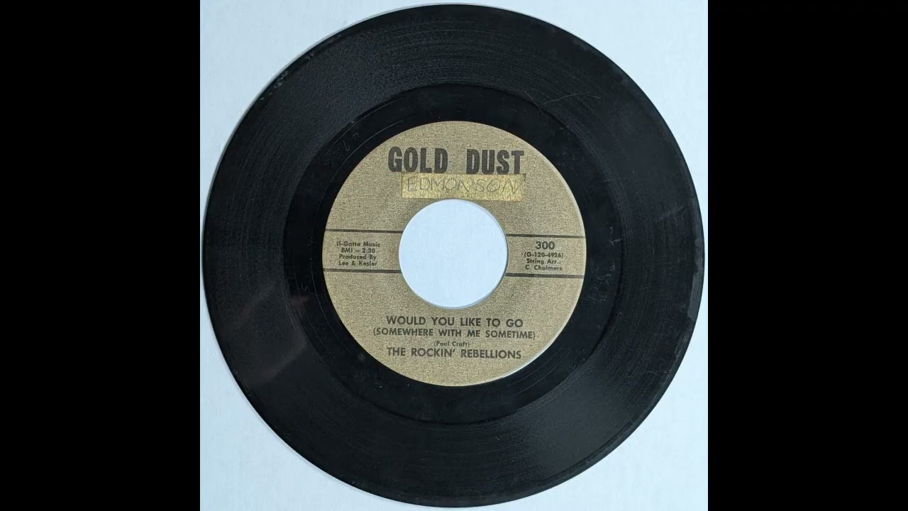 Rockin' Rebellions - Would You Like To Go (Somewhere With Me Sometime)