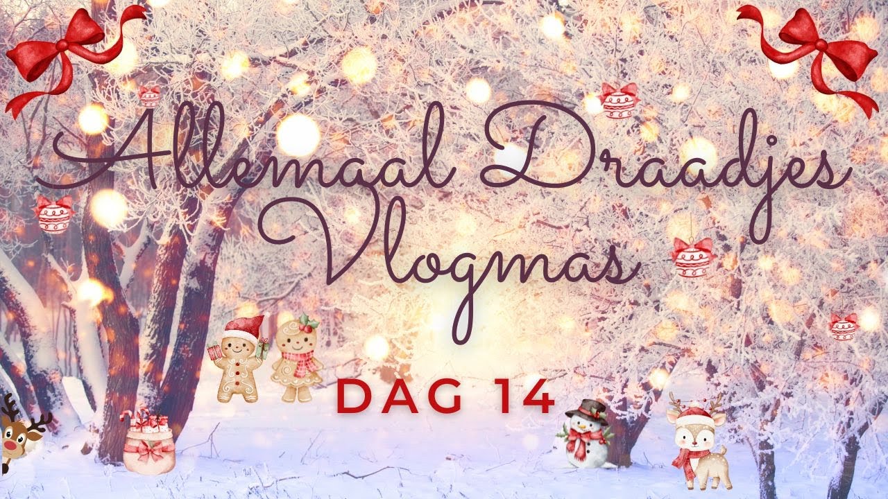 Dag 14 - Allemaal Draadjes Vlogmas 2025