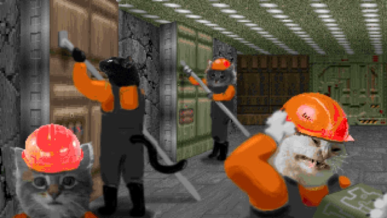 GREY CAT - Release Trailer