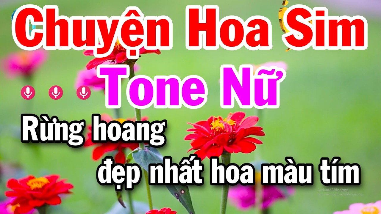 Karaoke Chuyện Hoa Sim Tone Nữ 2026 Nhạc Sống Tuấn Cò