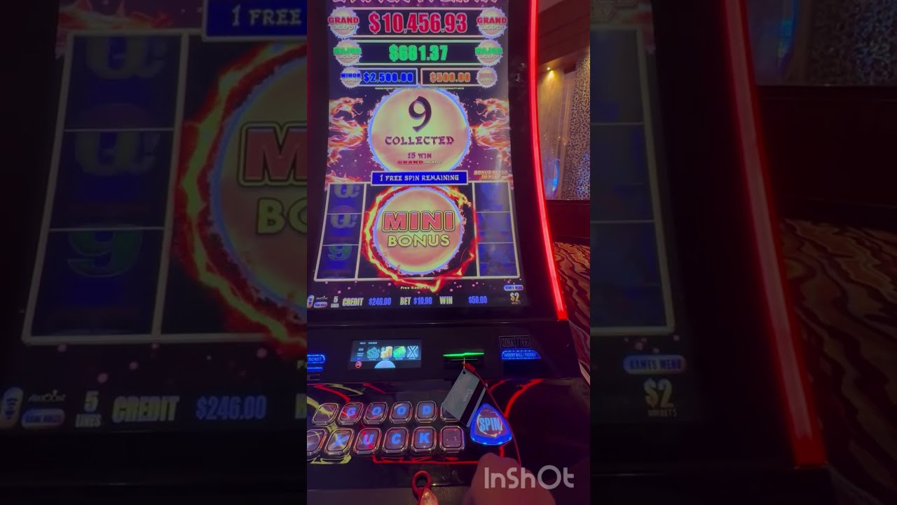Peacock Princess Insane Run. So Bonuses. #dragonlink #casino #slot #bonus 