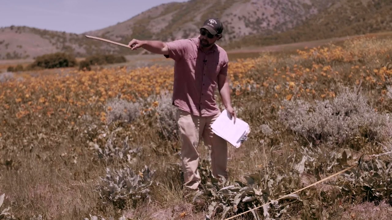 Range Vegetation Monitoring: Belt Transect